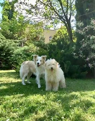 Apartment Poolside *